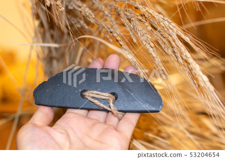 Stone knife Stone knife 53204654