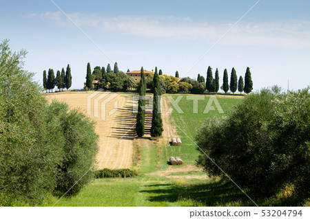 Tuscany hills summer landscape, Italy 53204794