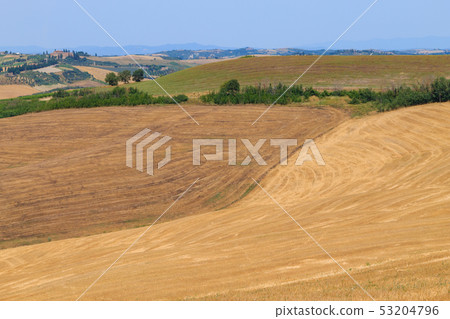 Tuscany hills panorama summer view, Italian 53204796