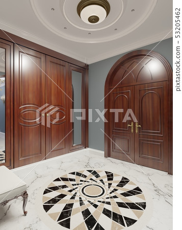 The luxurious apartment hall in a classic style The luxurious apartment hall in a classic style 53205462
