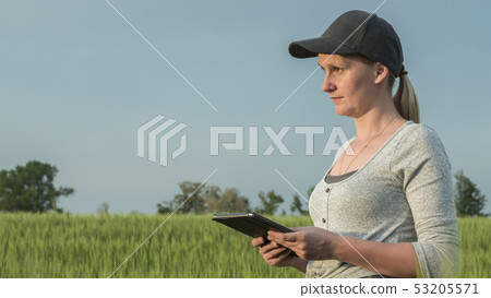 Side view of Woman farmer with tablet in hand stands on green wheat field Side view of Woman farmer with tablet in hand stands on green wheat field 53205571