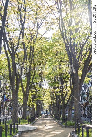 Jozenji Street新鮮的綠色仙台大道春天 53207292