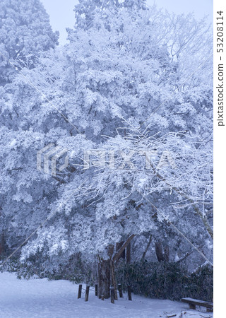 Snow mountain scenery 2 53208114