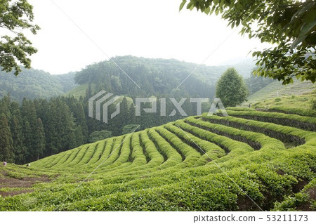 Dae Won, Boseong-gun, Jeonnam 53211173