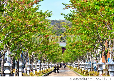 Scenery of Kamakura Danen 53211705