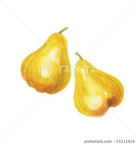 Rembu Renzu 53211924