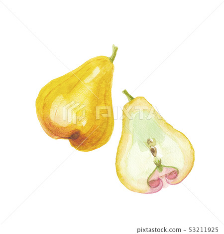 Rembu Renzu 53211925