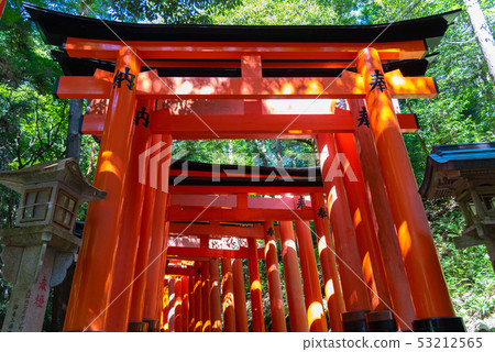 Kyoto Fushimi Inari Taisha Senbon Torii Japan Kyoto Fushimi Inari Taisha Senbon Torii Japan 53212565