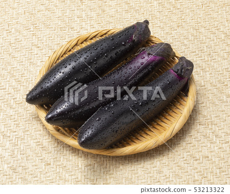 長茄子 長茄子 53213322