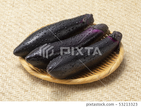 長茄子 長茄子 53213323