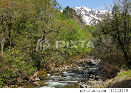 Asami-no-Sakake in spring and Asakusa-dake in snow 53213329