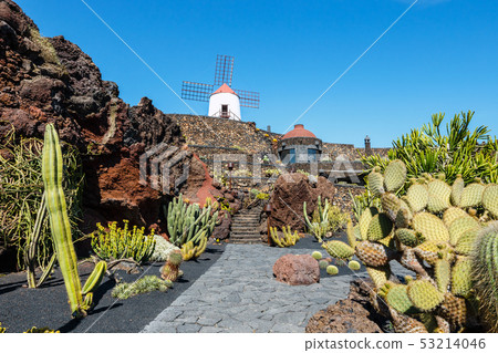 Windmill on blue sky background in cactus garden, Windmill on blue sky background in cactus garden, 53214046