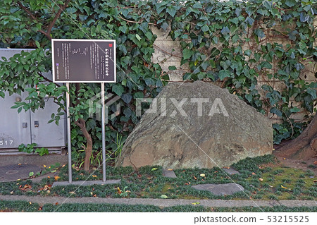 Envy of the Lake Toko Envy of the Lake Toko 53215525