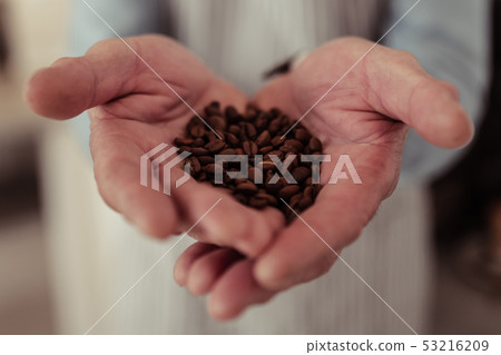Close up of a handful of coffee beans. Close up of a handful of coffee beans. 53216209