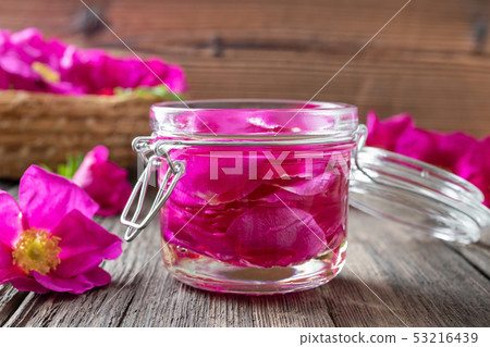 Rugosa rose petals macerating in almond oil 53216439