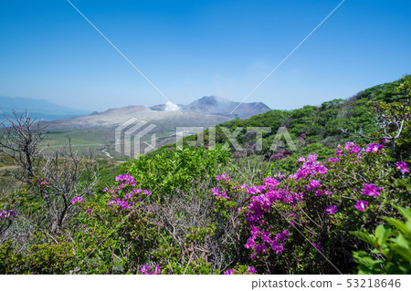 麻生太郎 53218646