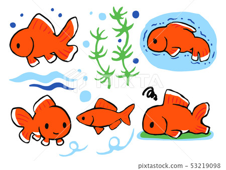 Set illustrations of various goldfish Set illustrations of various goldfish 53219098