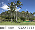 Hawaii palm trees mountain green park 53221113
