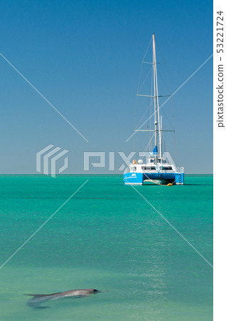 A dolphin and a catamaran - Monkey Mia A dolphin and a catamaran - Monkey Mia 53221724