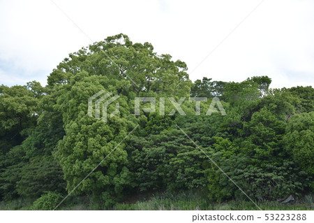 [Osaka Prefecture Sakai City] World Heritage Site-Basho Bird Tombs (Otakiyama Kofun) 53223288