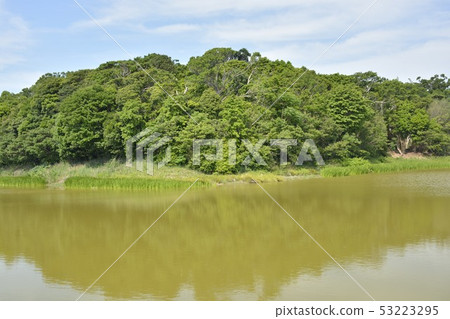 [Osaka Prefecture Sakai City] World Heritage Site-Basho Bird Tombs (Otakiyama Kofun) 53223295