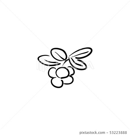 berry mix isolated on a white background berry mix isolated on a white background 53223888
