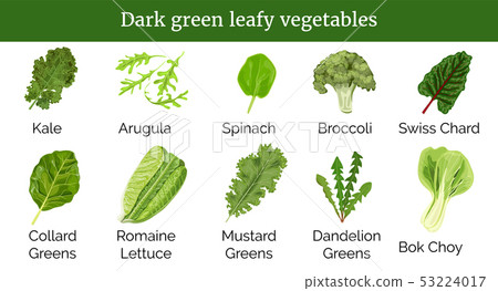 Dark green leafy vegetables, herbs. Spinach, 53224017