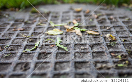 Closeup of the metal manhole cover with maple Closeup of the metal manhole cover with maple 53224111