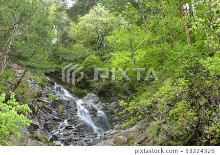 Shoshibukai Shoshibukai 53224326