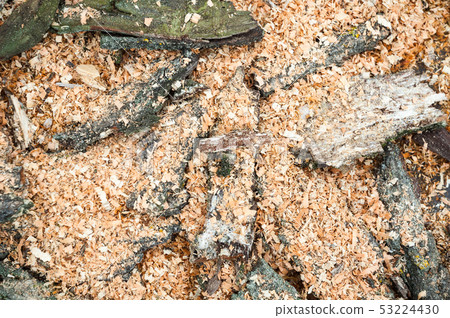 Pile of cut tree bark and wood sawdust 53224430