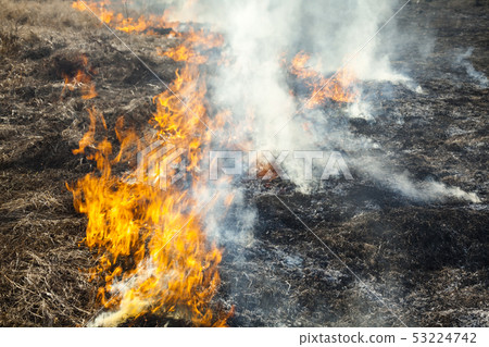 Big fire in the field. Big fire in the field. 53224742