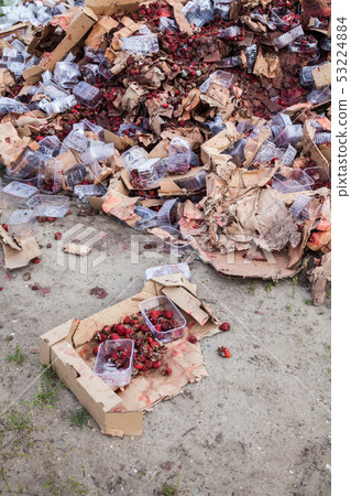 Rotten strawberries on the landfill 53224884
