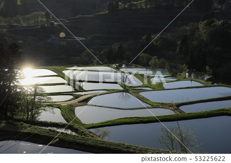 Terraced fields of Nagaoka Yamakoshi Terraced fields of Nagaoka Yamakoshi 53225622