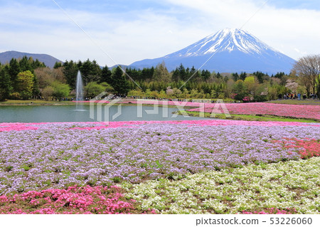富士山 53226060