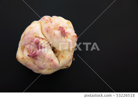 莉莉根 莉莉根 53226518