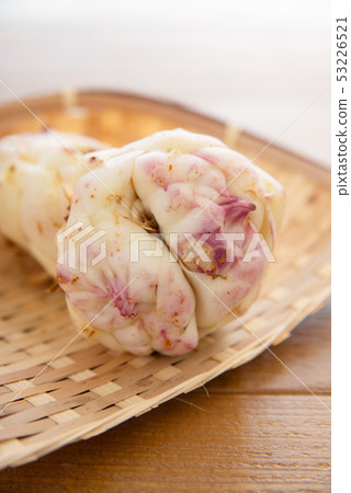 Lily root Lily root 53226521