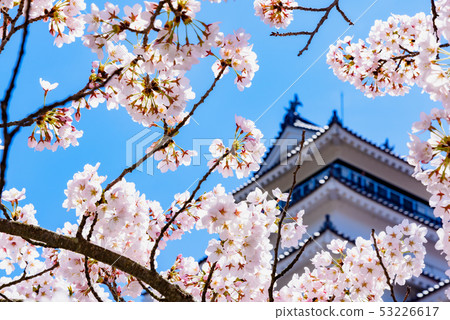  會津若松城堡敦賀城堡 53226617