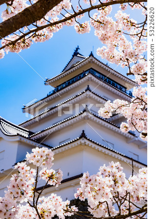  會津若松城堡敦賀城堡 53226620