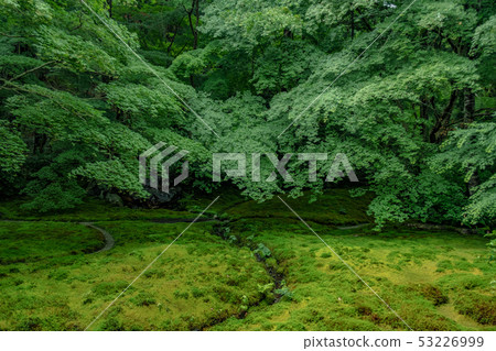 Kyoto Temple Shoko-in Temple Autumn leaves Blue maple garden Material Kyoto Temple Shoko-in Temple Autumn leaves Blue maple garden Material 53226999