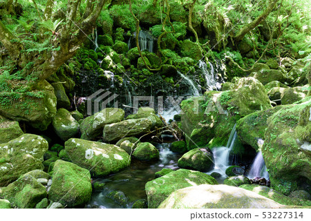 Motoyuki underwater water Motoyuki underwater water 53227314