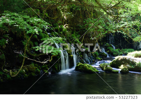 Motoyuki underwater water Motoyuki underwater water 53227323