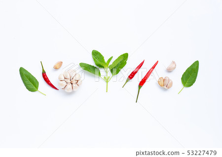 Ingredients herb and spice, holy basil, chili and Ingredients herb and spice, holy basil, chili and 53227479