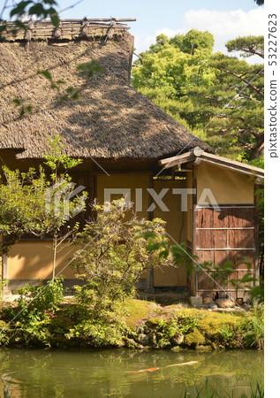 Umenomiya Taisha 53227623