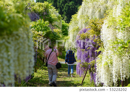 Tonose Fuji no Sato 53228202