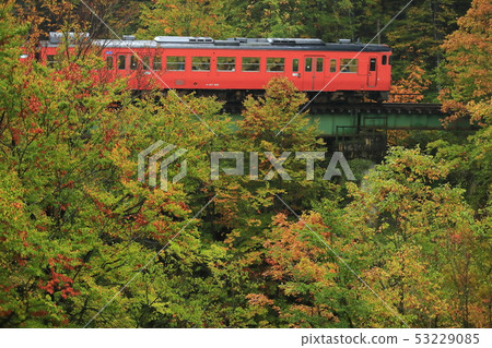 Tadami line of autumn leaves Tadami line of autumn leaves 53229085