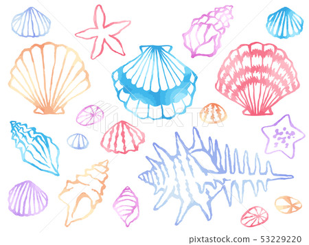 水彩風格線條藝術插圖套扇貝，蝸牛和海星 53229220