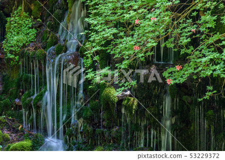 Motoyuki underwater water Motoyuki underwater water 53229372
