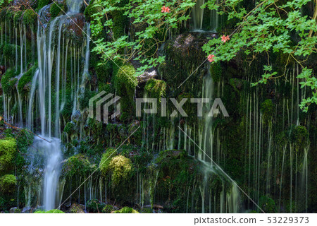 Motoyuki underwater water Motoyuki underwater water 53229373