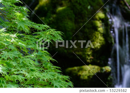 Motoyuki underwater water Motoyuki underwater water 53229382