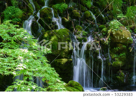 Motoyuki underwater water Motoyuki underwater water 53229383